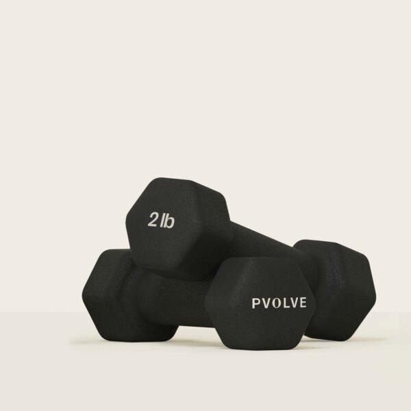 2 lb Hand Weights